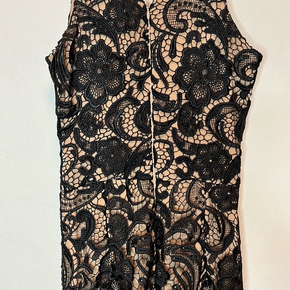 Dress the Population Sophia lace mermaid gown - Picture 10 of 15